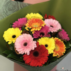 bouquet gerbera